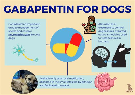 It can vary based on his weight, other health concerns, and what its being used for. . Gabapentin and meloxicam for dogs